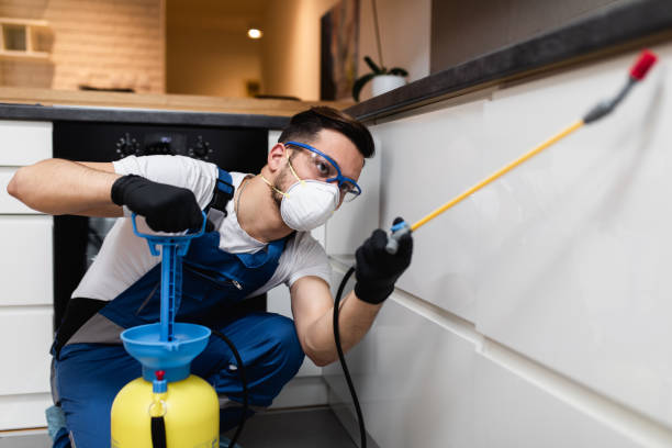 Best Pest Control Near Me  in Wellston, OH