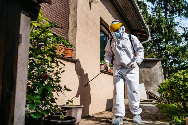Best Ant Control Services  in Wellston, OH