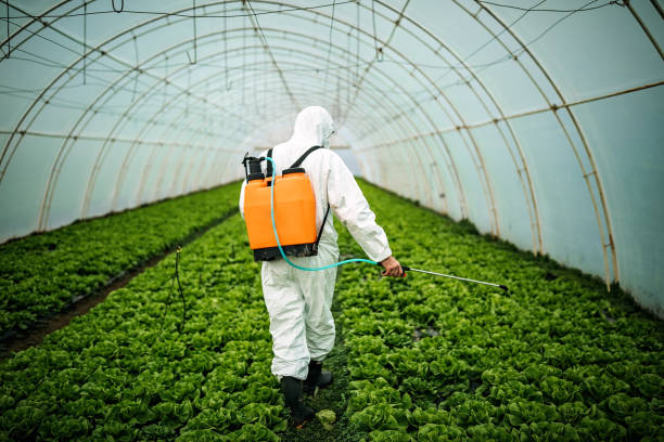 Best Residential Pest Control  in Wellston, OH